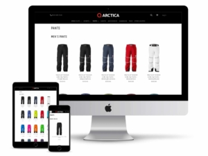 arctica web design