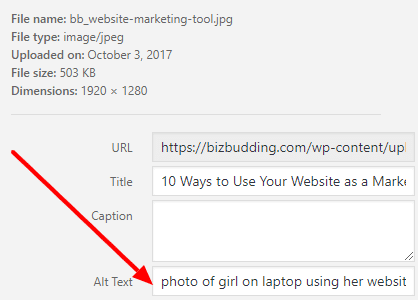 image showing how to set the alt text for an image in the WordPress media library UI