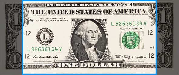 Image of dollar bill in section size