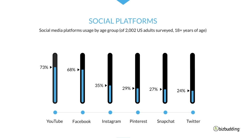 Image of Social Media Platform statistics