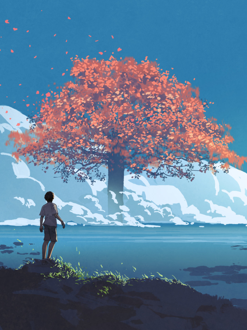 image of boy looking at red tree in distance