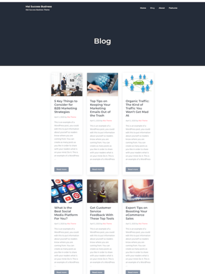 Demo image of a Mai Success Business blog post layout