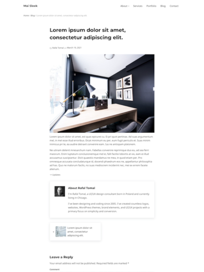 Demo Image of a Mai Sleek Freelance blog post