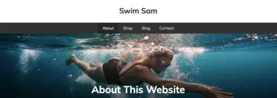 Horizontal swimmer desktop banner image