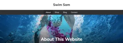Verticle swimmer desktop banner image