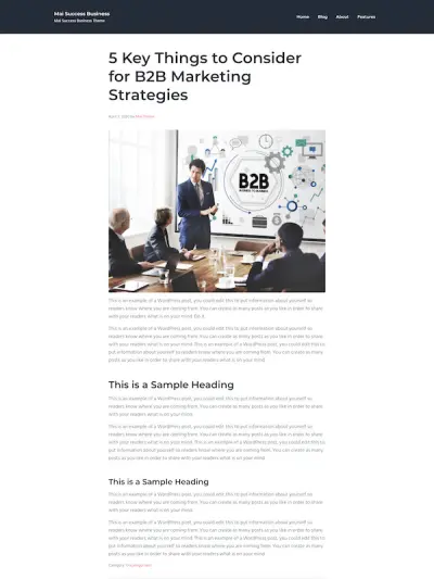 Demo image of a Mai Success Business blog post