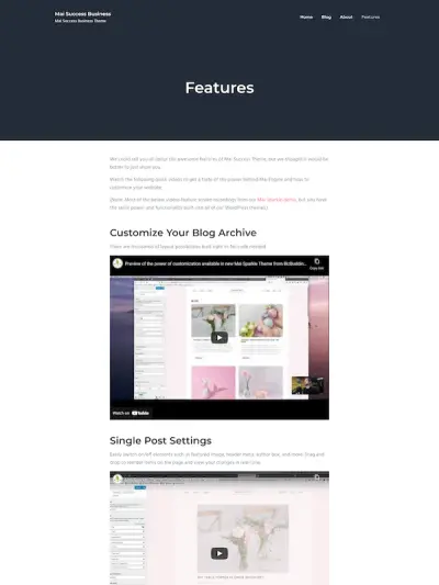 Demo image of a Mai Success Business features page