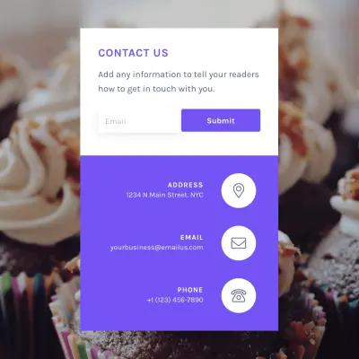 Contact form section