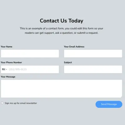 Contact form section